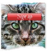 Sign up To be notified when we add new stories.    Sign up