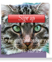 Sign up To be notified when we add new stories.    Sign up