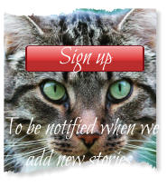 Sign up To be notified when we add new stories.    Sign up