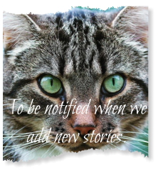 To be notified when we add new stories.